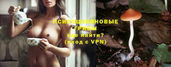 спайс Алзамай