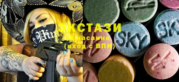 гашик Алексин