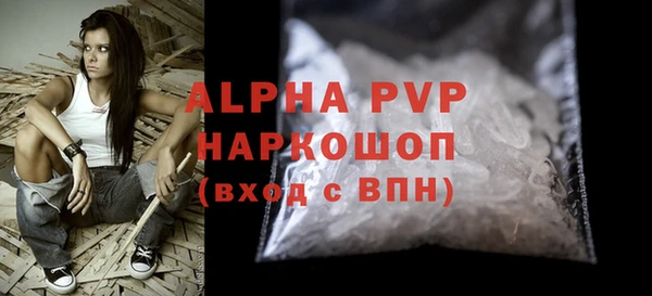 гашик Алексин