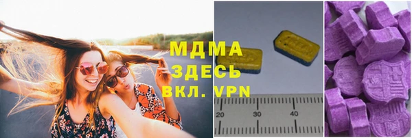 гашик Алексин