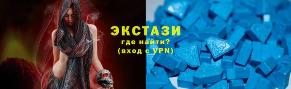 гашик Алексин