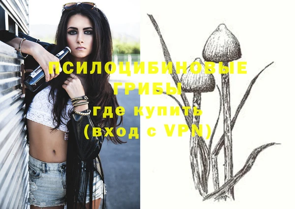 ПСИЛОЦИБИНОВЫЕ ГРИБЫ Покров