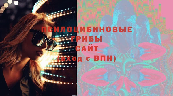 гашик Алексин