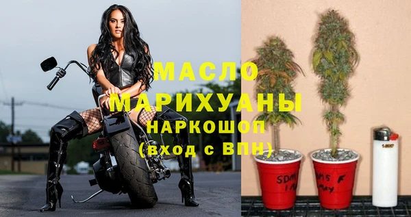 гашик Алексин