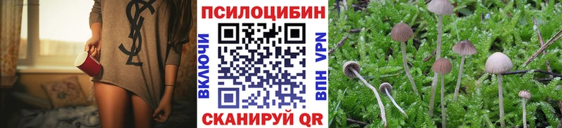 ссылка на мегу вход Краснознаменск Псилоцибиновые грибы ЛСД