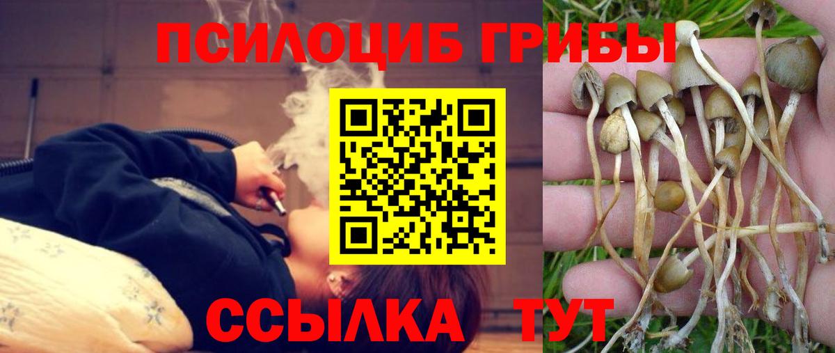Галлюциногенные грибы Краснознаменск